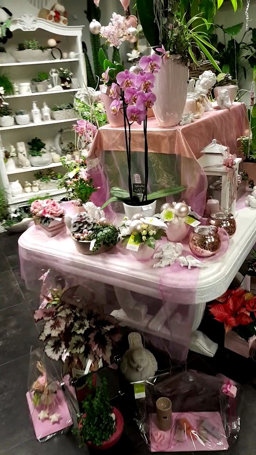 Composition florale et décoration en boutique